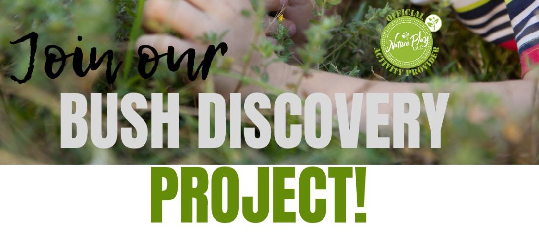 Introducing our Bush Discovery Project